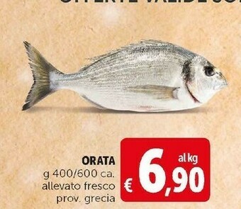 Deco Supermercati Orata offerta