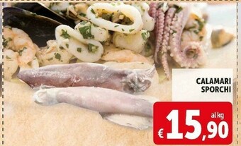 Calamari sporchi