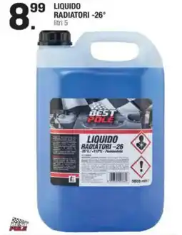 Brico OK Best pole liquido radiatori -26° offerta