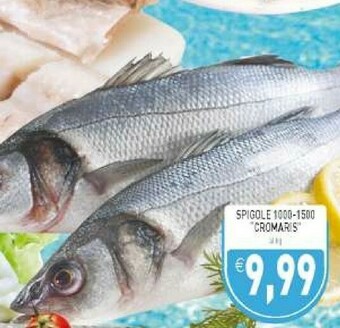 Pesce