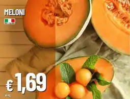 Galassia Meloni offerta