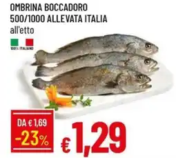Galassia Ombrina boccadoro 500/1000 allevata italia offerta