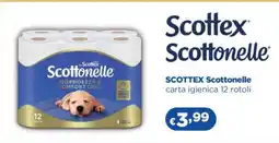 Acqua & Sapone SCOTTEX Scottonelle offerta