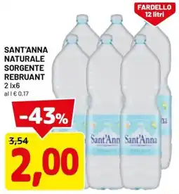 DPiù Sant'anna naturale sorgente rebruant offerta