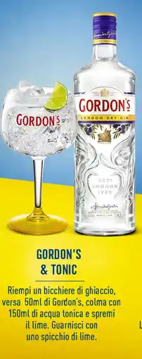 Iper Tosano Gordon's & tonic offerta