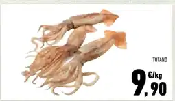 Conad TOTANO offerta