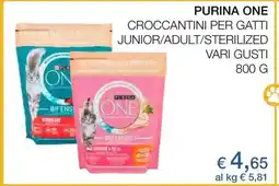 Coop Purina One offerta