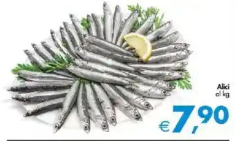 Deco Supermercati Alici offerta