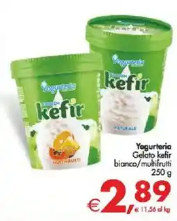 Deco Supermercati Yogurteria Gelato kefir bianco/multifrutti offerta