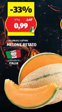 ALDI I colori del sapore melone retato offerta
