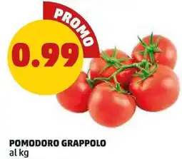 PENNY Pomodoro grappolo al kg offerta