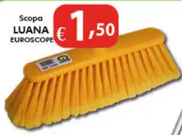 Bernava Scopa LUANA EUROSCOPE offerta