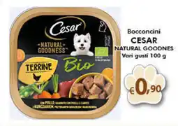Bernava Bocconcini CESAR NATURAL GOODNES Vari gusti offerta