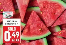 Panorama Anguria offerta
