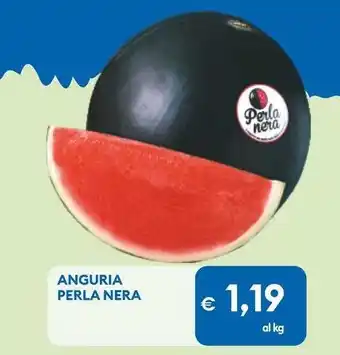 MD Discount Anguria perla nera offerta
