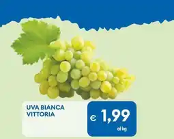 MD Discount Uva bianca vittoria offerta