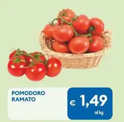 MD Discount Pomodoro ramato offerta