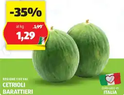 ALDI Regione che vai cetrioli barattieri offerta