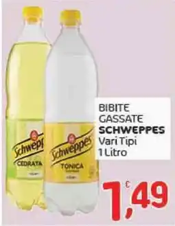 Crai Bibite gassate SCHWEPPES Vari Tipi offerta