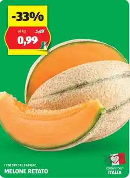 ALDI I colori del sapore melone retato offerta