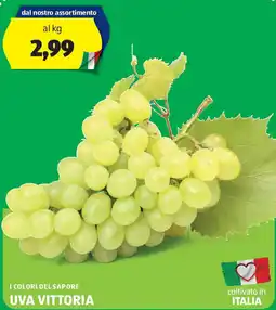ALDI I colori del sapore uva vittoria offerta