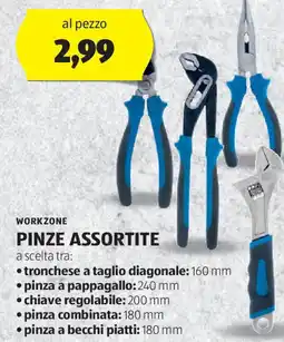 ALDI Workzone pinze assortite offerta