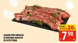 Tigros Asado per griglia di bovino adulto di scottona offerta