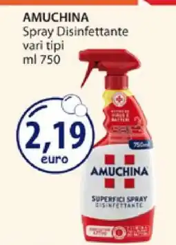 Acqua & Sapone AMUCHINA offerta