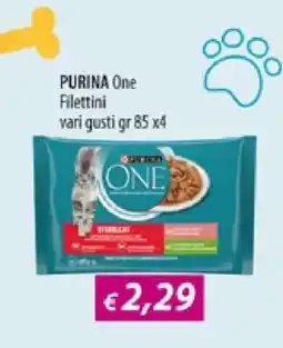 Acqua & Sapone PURINA One Filettini offerta