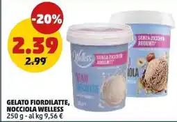 PENNY Gelato fiordilatte, nocciola welless offerta