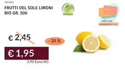 Prezzemolo e Vitale Frutti del sole limoni bio offerta