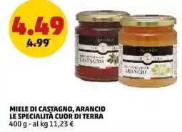 PENNY Miele di castagno, arancio le specialità cuor di terra offerta