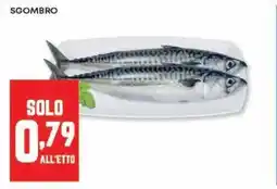 Panorama Sgombro offerta