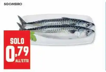 Panorama Sgombro offerta
