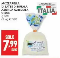 Panorama Mozzarella di latte di bufala azienda agricola circe offerta