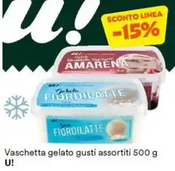 Unes Vaschetta gelato gusti assortiti U! offerta