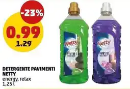 PENNY Detergente pavimenti NETTY energy, relax offerta
