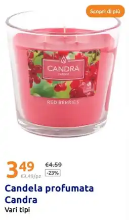 Action Candela profumata Candra Vari tipi offerta