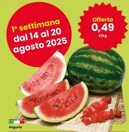 Interspar Anguria offerta