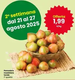 Interspar Pomodoro Insalataro tondo offerta