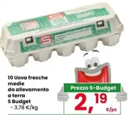 Interspar 10 Uova fresche medie da allevamento a terra S Budget offerta