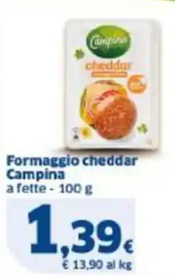 Sigma Formaggio cheddar Campina offerta