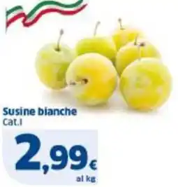 Sigma Susine bianche offerta