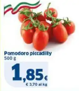 Sigma Pomodoro piccadilly offerta