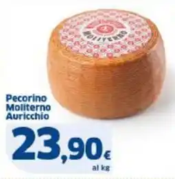 Sigma Pecorino Moliterno Auricchio offerta