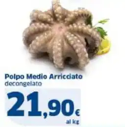 Sigma Polpo Medio Arricciato decongelato offerta