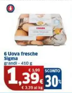 Sigma 6 Uova fresche Sigma offerta