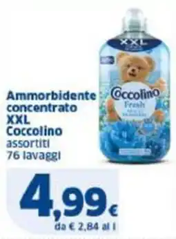 Sigma Ammorbidente oncentrato XXL Coccolino assortiti offerta