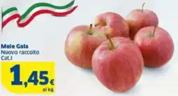 Sigma Mele Gala Nuovo raccolto offerta