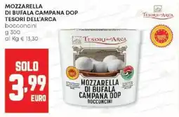 Panorama Mozzarella di bufala campana dop TESORI DELL'ARCA offerta